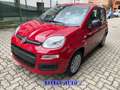 Fiat Panda PROMO FINANZ.PANDINA 1.0  Hybrid  KM  0 Rosso - thumbnail 10