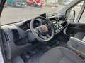 Fiat Ducato KW Maxi L4H2 140 Kühlausbau Klima Weiß - thumbnail 11