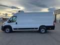 Fiat Ducato KW Maxi L4H2 140 Kühlausbau Klima Weiß - thumbnail 3