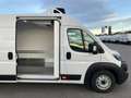 Fiat Ducato KW Maxi L4H2 140 Kühlausbau Klima Weiß - thumbnail 5