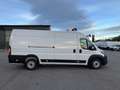 Fiat Ducato KW Maxi L4H2 140 Kühlausbau Klima Weiß - thumbnail 4