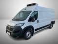 Fiat Ducato KW Maxi L4H2 140 Kühlausbau Klima Weiß - thumbnail 1