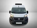 Fiat Ducato KW Maxi L4H2 140 Kühlausbau Klima Weiß - thumbnail 2