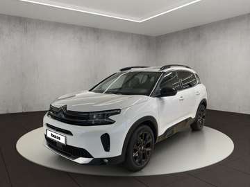 Shine Hybrid 136 e-DSC6