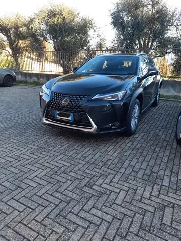 Lexus UX 250h