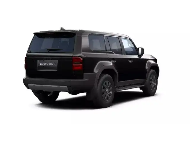 Toyota Land Cruiser view 8