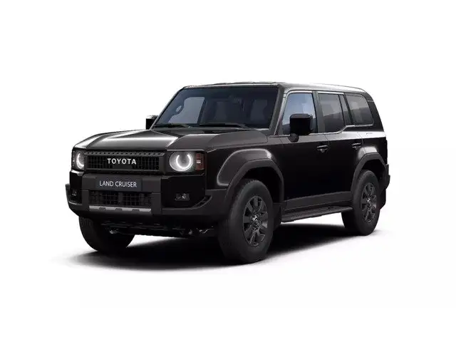 Toyota Land Cruiser view 2
