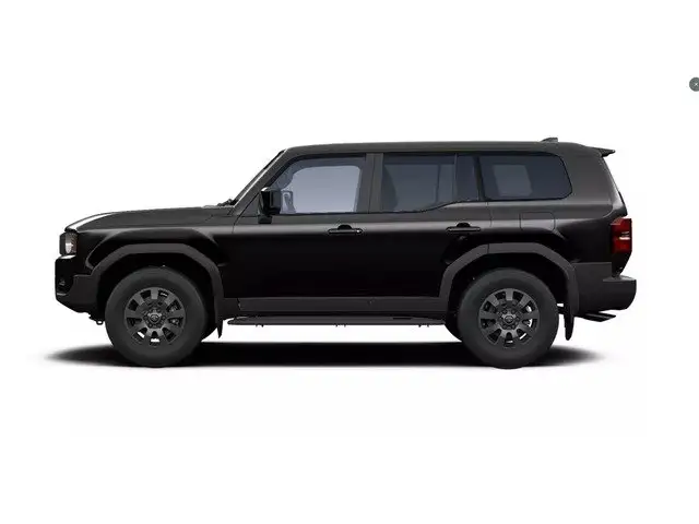 Toyota Land Cruiser view 5