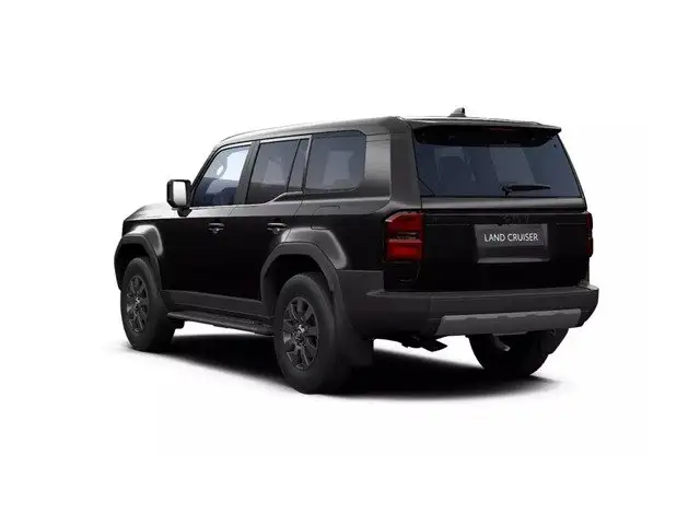 Toyota Land Cruiser view 7