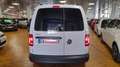 Volkswagen Caddy 2.0 TDI 102 CV DSG Furgone Business FRIGO FRAX Grigio - thumbnail 4