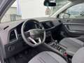 SEAT Ateca Style 1.0 TSI Silber - thumbnail 11