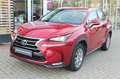 Lexus NX 300 h Executive Line*LED*PDC*SHZ*NAVI*LEDER* Red - thumbnail 3