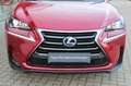 Lexus NX 300 h Executive Line*LED*PDC*SHZ*NAVI*LEDER* Red - thumbnail 8