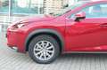 Lexus NX 300 h Executive Line*LED*PDC*SHZ*NAVI*LEDER* Red - thumbnail 4