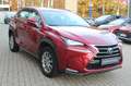 Lexus NX 300 h Executive Line*LED*PDC*SHZ*NAVI*LEDER* Red - thumbnail 10