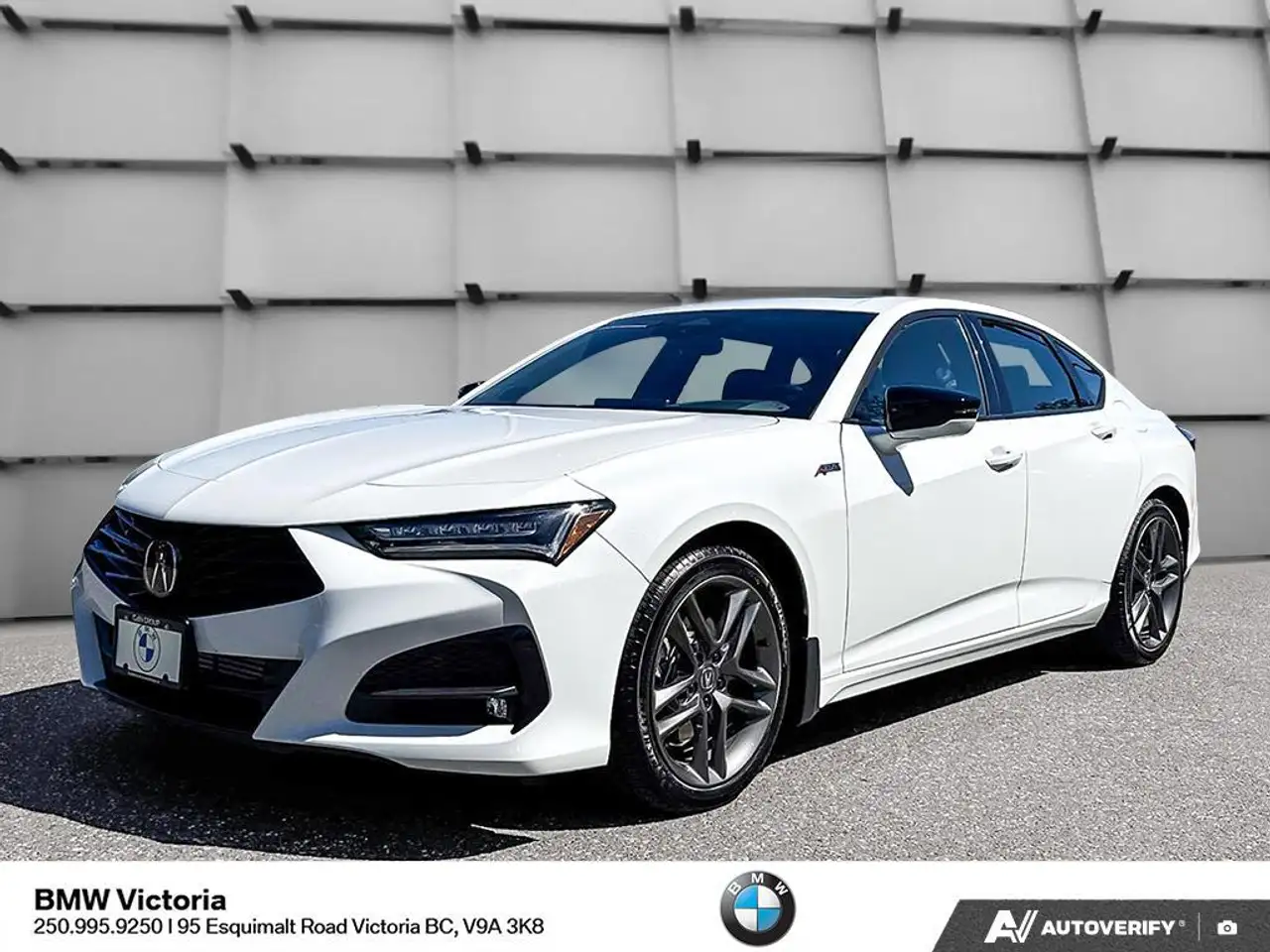2025 Acura TLX