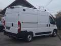 Fiat Ducato 2.3JTD 140pk L2H2 81000km (14794Netto+Btw/Tva) Blanc - thumbnail 7
