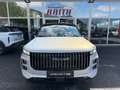Jaecoo J7 1,5 TGDI Premium-Line 7DCT AWD Silber - thumbnail 2