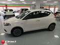 Lancia Ypsilon 1.0 FireFly 5 porte S&S Hybrid Platino Bianco - thumbnail 3