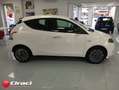 Lancia Ypsilon 1.0 FireFly 5 porte S&S Hybrid Platino Bianco - thumbnail 7