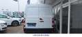 Renault Master Kasten 2,8t Ecoline/Garantie/Inspek. NEU/ Weiß - thumbnail 4