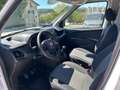 Fiat Doblò Cargo 1.3 MJT 95cv Lounge E6D Wit - thumbnail 9