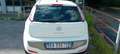 Fiat Punto Evo 5p 1.4 Dynamic 77cv - thumbnail 4