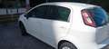 Fiat Punto Evo 5p 1.4 Dynamic 77cv - thumbnail 3