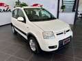 Fiat Panda 1.2 Cross Natural Power Blanc - thumbnail 3