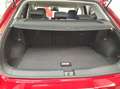 Volkswagen T-Roc Move 2.0 TDI *Dienstwagen* Navi Anschlussga Rot - thumbnail 6