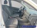 Kia Picanto 1.0 AT Dream Team DAB SHZ LenkradHZG Tel.-Vorb. Be Weiß - thumbnail 9