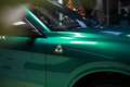 Alfa Romeo Stelvio Stelvio 2023 2.9 V6 Quadrifoglio Q4 520cv 100 Ann Grün - thumbnail 11