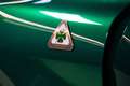 Alfa Romeo Stelvio Stelvio 2023 2.9 V6 Quadrifoglio Q4 520cv 100 Ann Grün - thumbnail 6