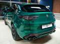 Alfa Romeo Stelvio Stelvio 2023 2.9 V6 Quadrifoglio Q4 520cv 100 Ann Grün - thumbnail 12