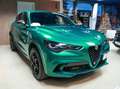Alfa Romeo Stelvio Stelvio 2023 2.9 V6 Quadrifoglio Q4 520cv 100 Ann Grün - thumbnail 1