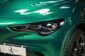 Alfa Romeo Stelvio Stelvio 2023 2.9 V6 Quadrifoglio Q4 520cv 100 Ann Grün - thumbnail 4