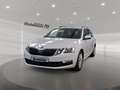 Skoda Octavia Combi 2.0 TDI Ambition PDC SHZ CarPlay Wit - thumbnail 1