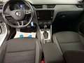 Skoda Octavia Combi 2.0 TDI Ambition PDC SHZ CarPlay Weiß - thumbnail 8