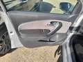 Volkswagen Polo Cross 1.4 tdi 90 cv Argento - thumbnail 13