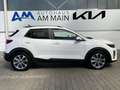 Kia Stonic 1.0T 100 DCT SPIRIT | 48V Weiß - thumbnail 6