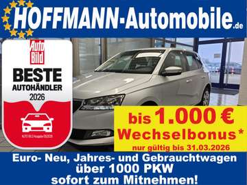 Active Allwetterreifen,PDC,Klimaanlage