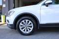 Volkswagen Tiguan 2.0 TDI SCR 4MOTION Navi RADAR ACC App Connect E6D Wit - thumbnail 17
