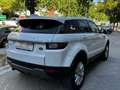 Land Rover Range Rover Evoque 2.0TD4 Pure 4WD 150 Bianco - thumbnail 2