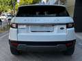 Land Rover Range Rover Evoque 2.0TD4 Pure 4WD 150 Bianco - thumbnail 8