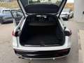 Audi Q5 Sportback S-Line TDI 150kW quattro S-tronic Weiß - thumbnail 27