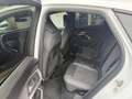 Audi Q5 Sportback S-Line TDI 150kW quattro S-tronic Weiß - thumbnail 25