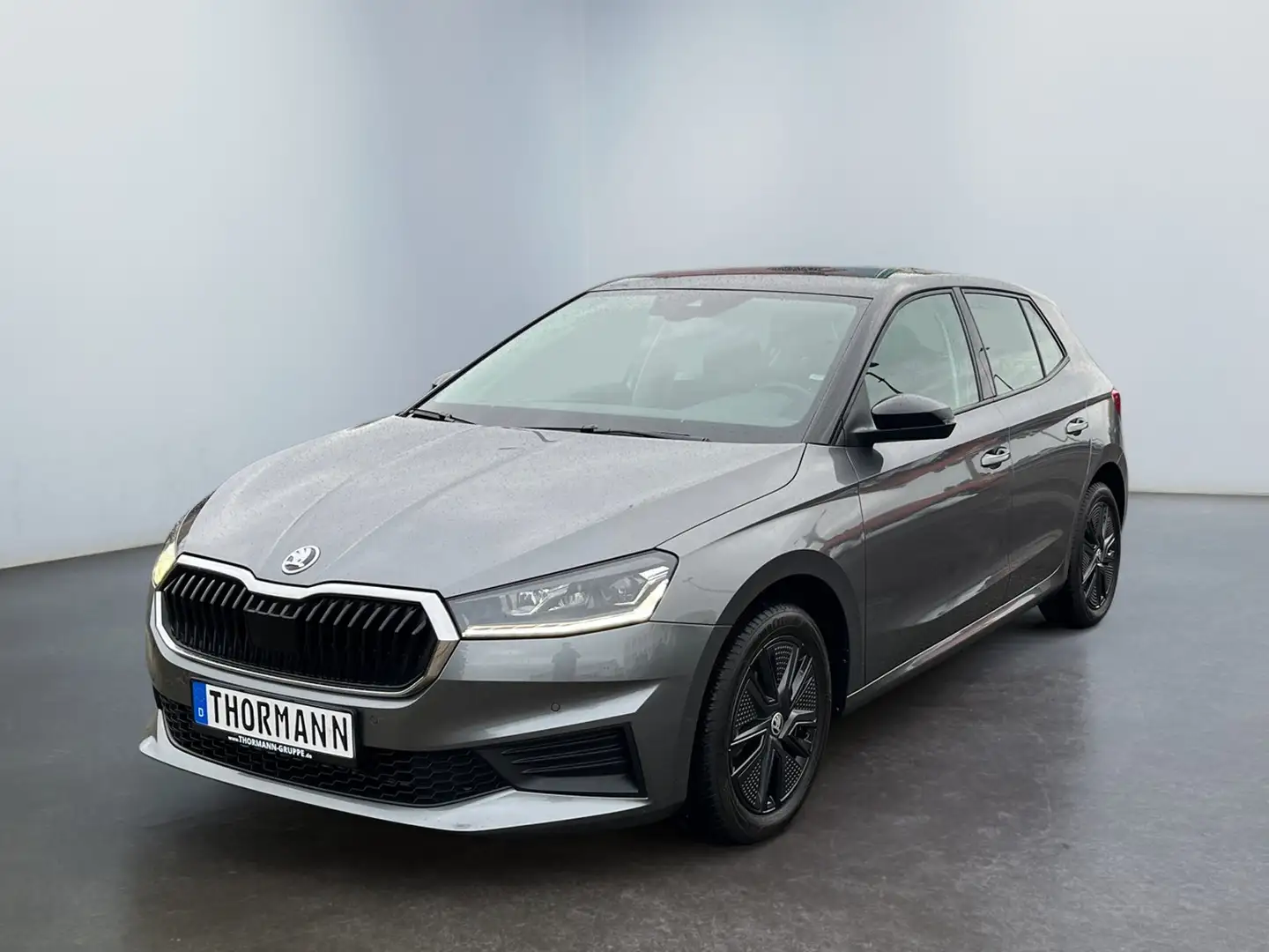 Skoda Fabia Ambition 1.0 TSI DAB Bluetooth Grau - 2