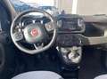 Fiat Panda 1.0 firefly hybrid Cross s&s 70cv Blu/Azzurro - thumbnail 14
