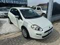 Fiat Punto Punto 3p 1.4 natural power Easy 70cv Blanc - thumbnail 2