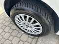 Fiat Punto Punto 3p 1.4 natural power Easy 70cv Blanc - thumbnail 13
